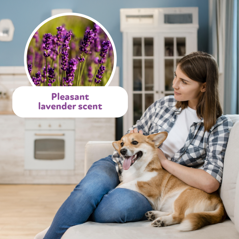 Pet waste refills